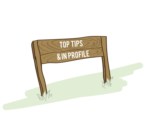 Top-Tips-In-Profile