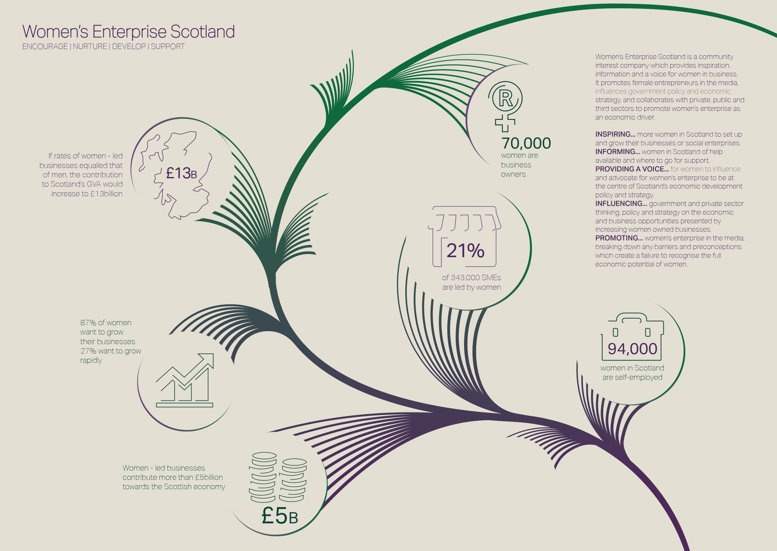 Women's Enterprise Scotland, Infographic Design