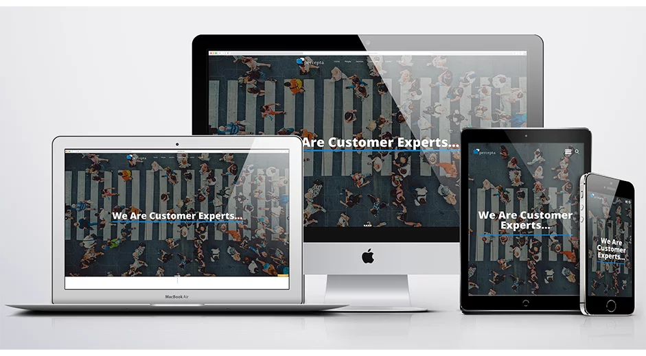 PERCEPTA, WEB DESIGN